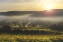 herbstbild_ams_w130px.jpg