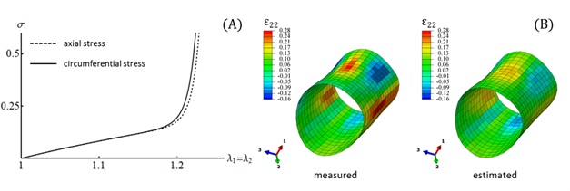 Copy of Figure 3