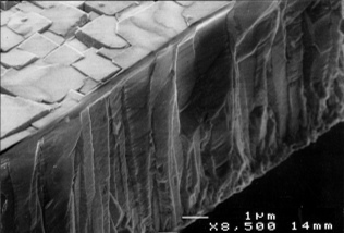 SEM picture of a heteroepitactically grown diamond film