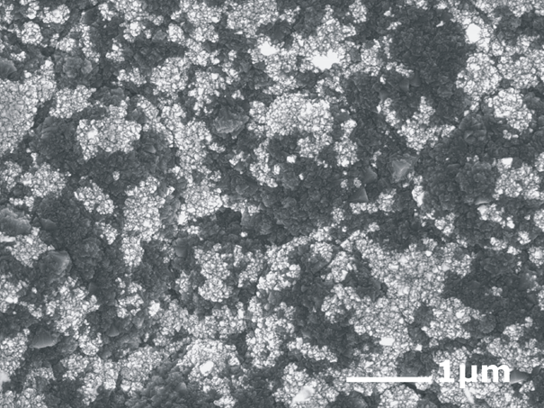 SEM morphology of a homogeneous nanocrystanlline diamond/β-SiC composite film deposited on Mo substrate with a constant tetramethylsilane (TMS) content of 0.05% in the gas phase.